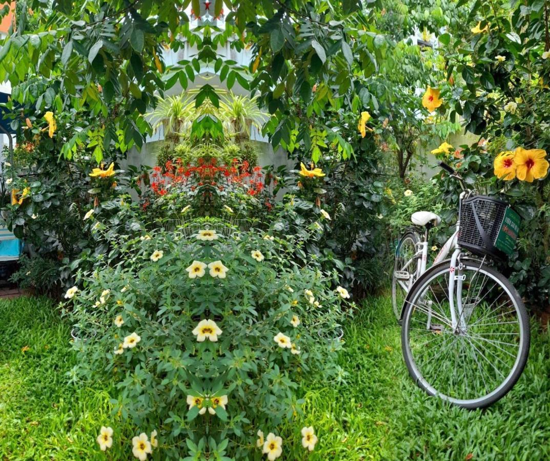 Star Garden Hoi An Lejlighed Eksteriør billede